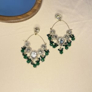 Fancy Earrings